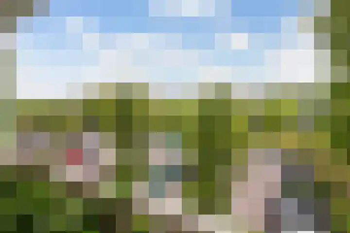 Van Ostadelaan 366 Alkmaar thumbnail 36