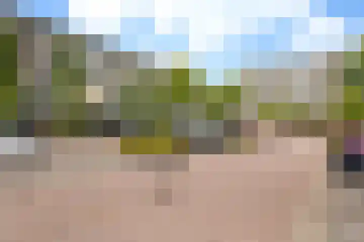 Van Ostadelaan 366 Alkmaar thumbnail 38