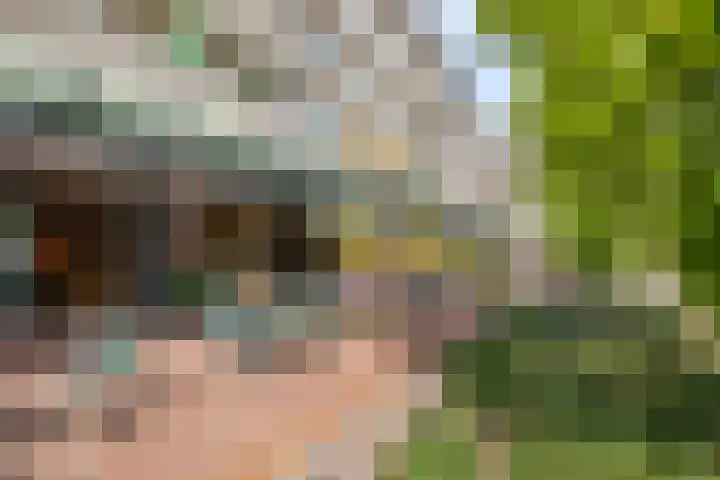 Van Ostadelaan 366 Alkmaar thumbnail 39