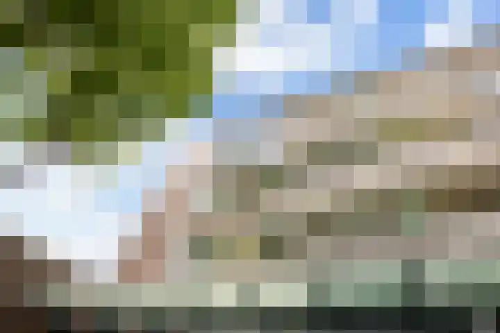 Van Ostadelaan 366 Alkmaar thumbnail 6