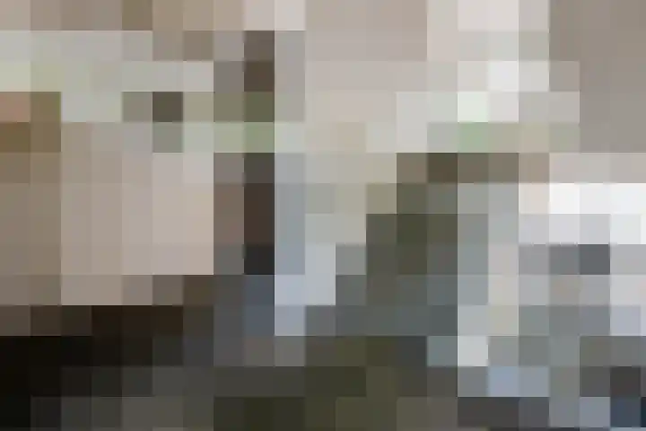 Van Ostadelaan 366 Alkmaar thumbnail 7