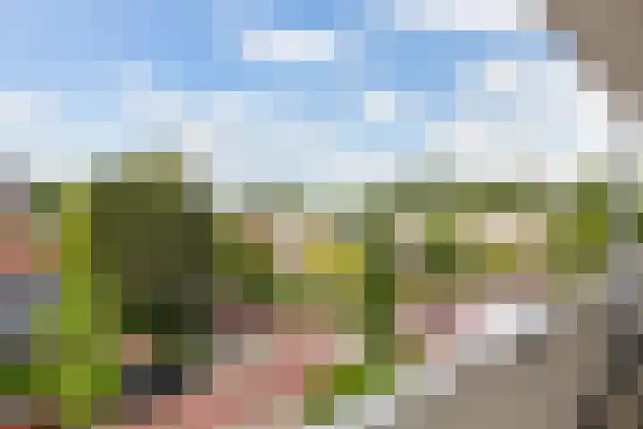 Van Ostadelaan 366 Alkmaar thumbnail 9