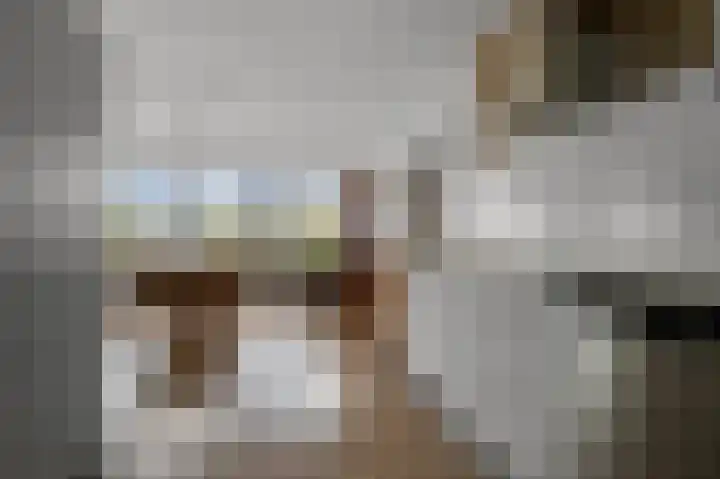 Van Ostadelaan 370 Alkmaar thumbnail 10