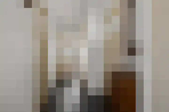 Van Ostadelaan 370 Alkmaar thumbnail 11