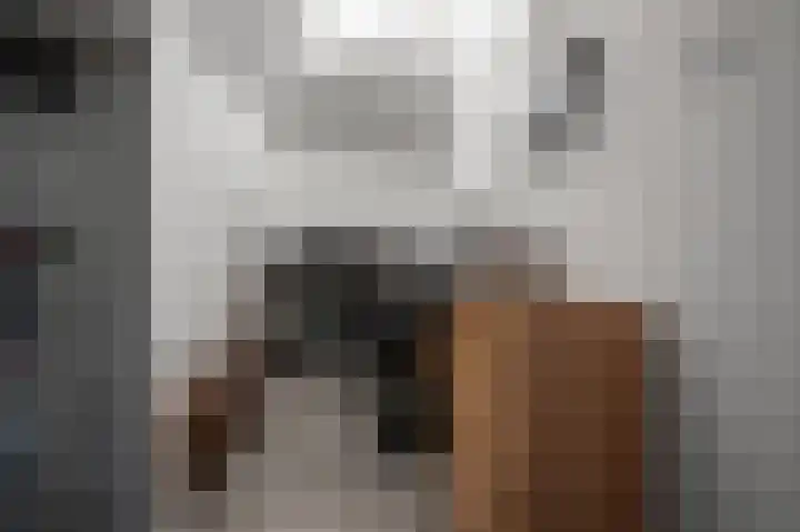 Van Ostadelaan 370 Alkmaar thumbnail 17