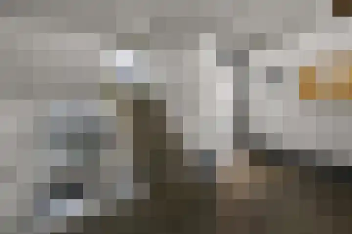 Van Ostadelaan 370 Alkmaar thumbnail 29