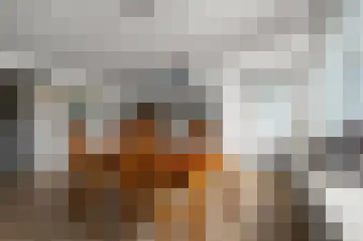 Van Ostadelaan 370 Alkmaar thumbnail 6