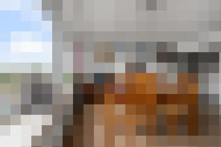 Van Ostadelaan 370 Alkmaar thumbnail 7