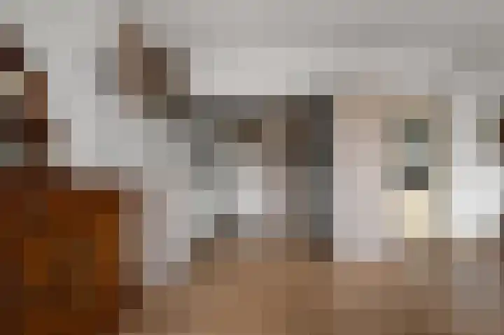 Van Ostadelaan 370 Alkmaar thumbnail 8