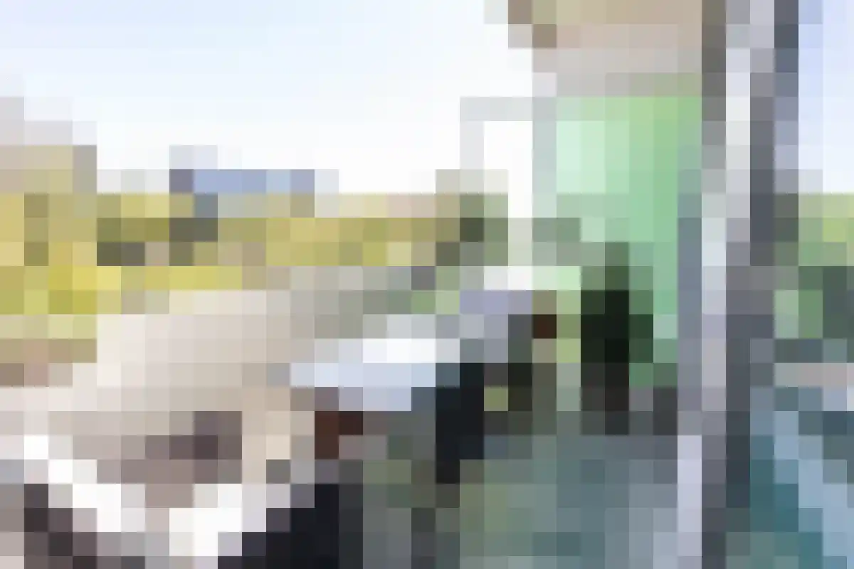 Van Ostadelaan 376 Alkmaar thumbnail 8
