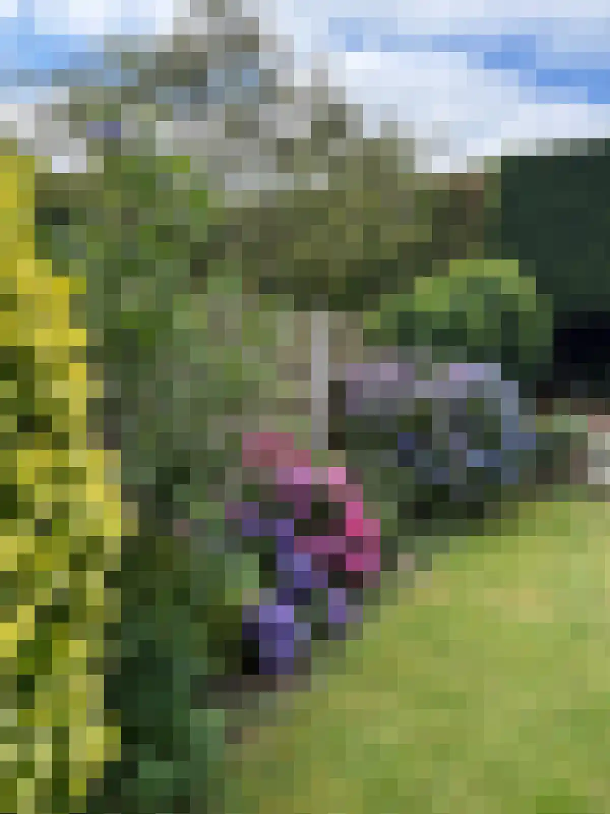 Van Ostadelaan 38 Hilversum thumbnail 37