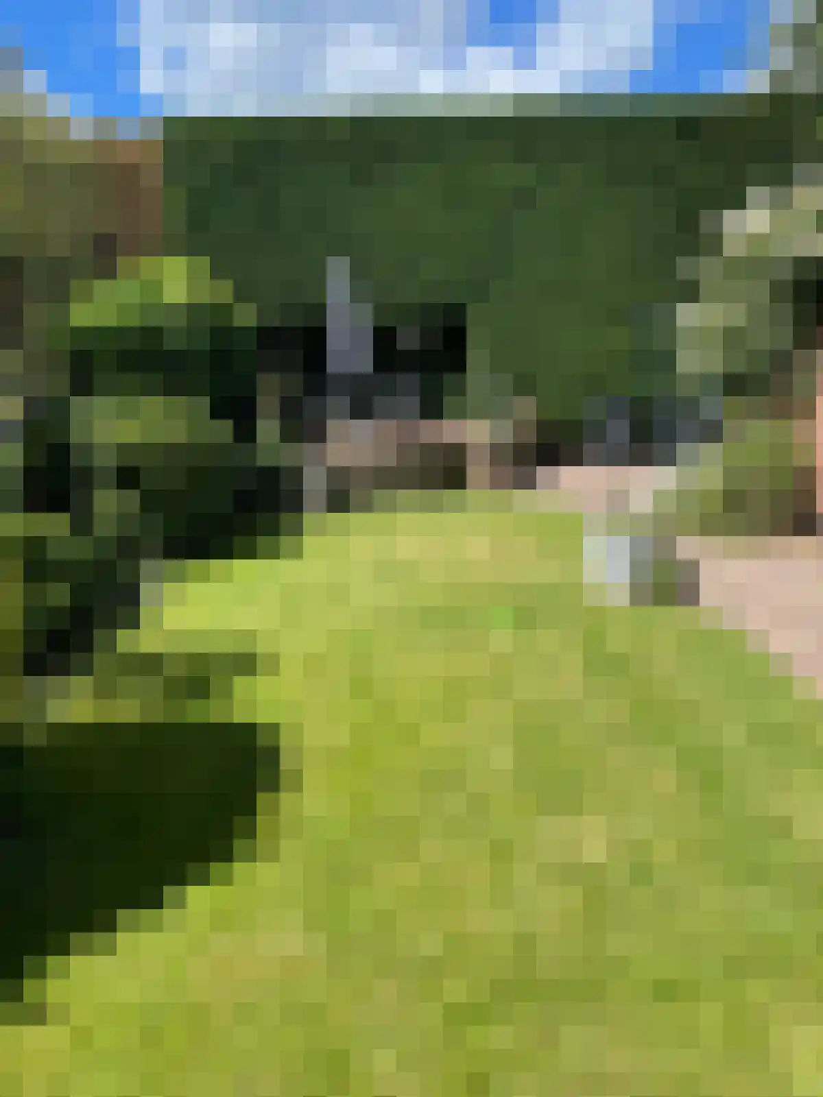 Van Ostadelaan 38 Hilversum thumbnail 39