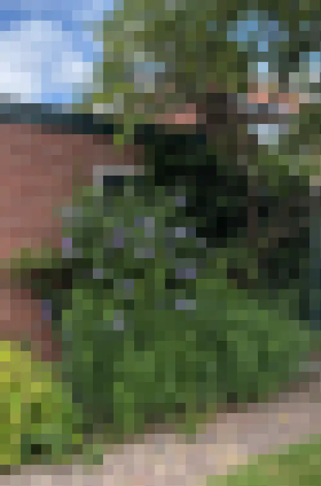 Van Ostadelaan 38 Hilversum thumbnail 40