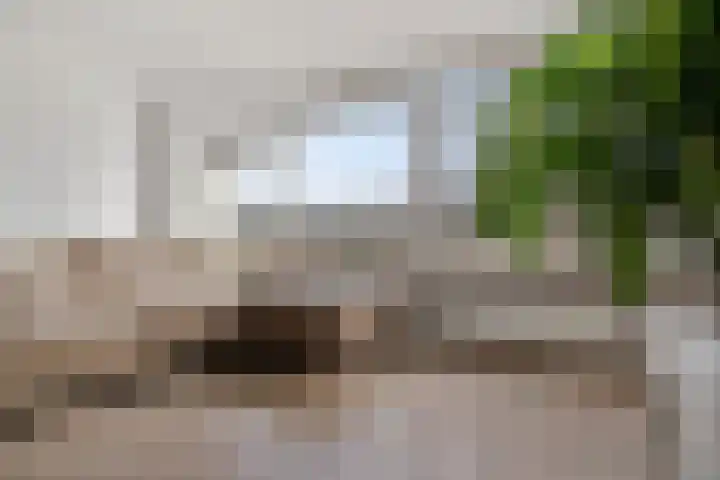 Van Ostadelaan 398 Alkmaar thumbnail 10