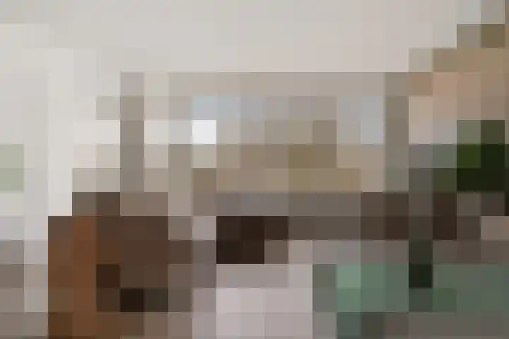 Van Ostadelaan 398 Alkmaar thumbnail 12