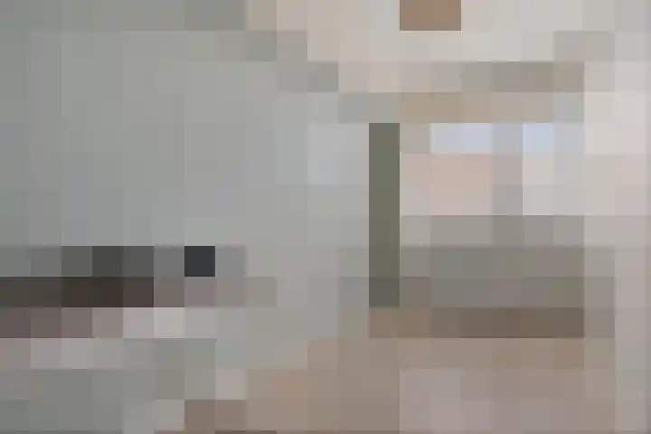 Van Ostadelaan 398 Alkmaar thumbnail 19