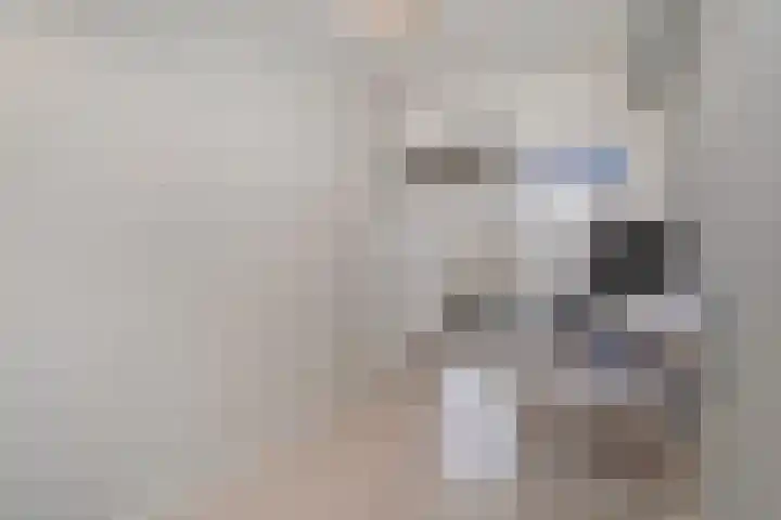 Van Ostadelaan 398 Alkmaar thumbnail 20