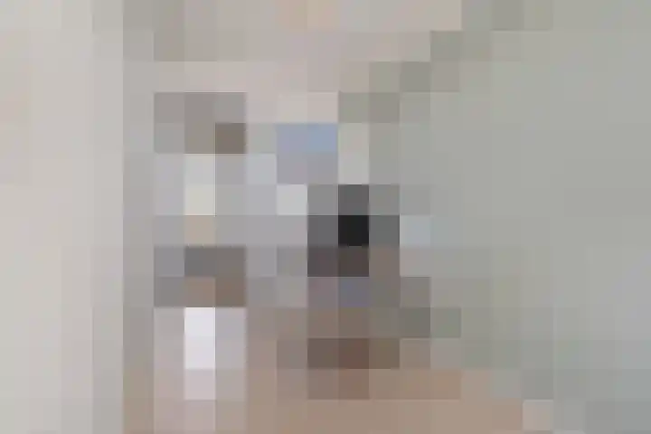 Van Ostadelaan 398 Alkmaar thumbnail 21