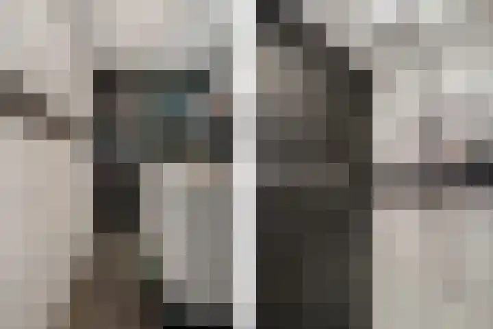 Van Ostadelaan 398 Alkmaar thumbnail 22