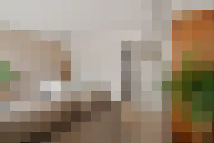 Van Ostadelaan 398 Alkmaar thumbnail 7