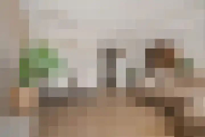 Van Ostadelaan 398 Alkmaar thumbnail 8