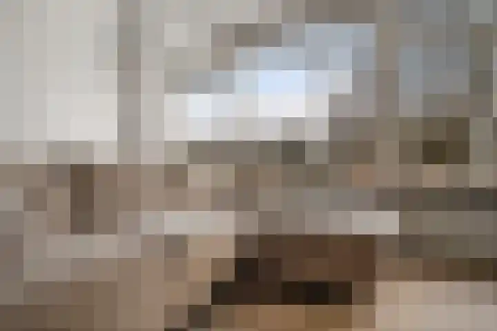 Van Ostadelaan 398 Alkmaar thumbnail 9