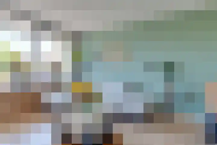 Van Ostadelaan 416 Alkmaar thumbnail 10