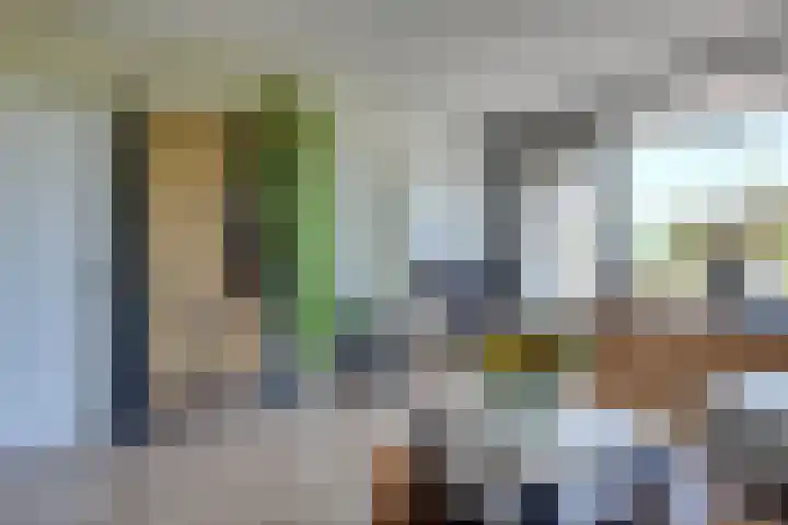 Van Ostadelaan 416 Alkmaar thumbnail 12