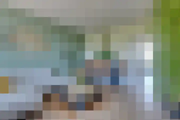 Van Ostadelaan 416 Alkmaar thumbnail 13