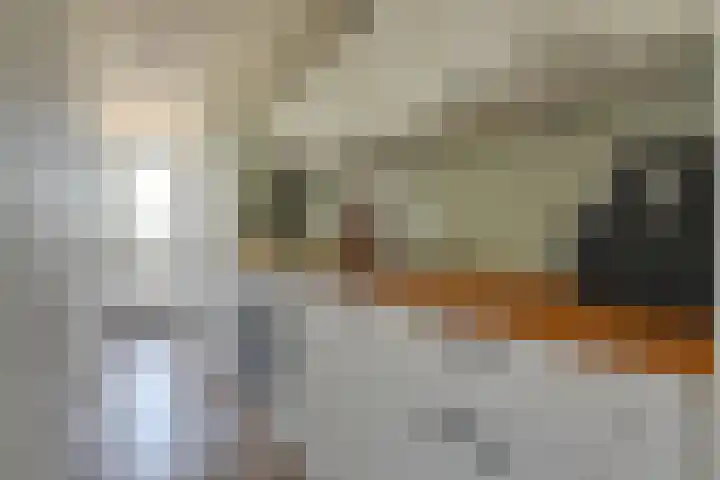 Van Ostadelaan 416 Alkmaar thumbnail 15