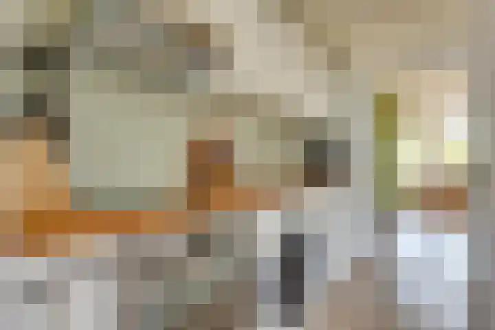 Van Ostadelaan 416 Alkmaar thumbnail 17