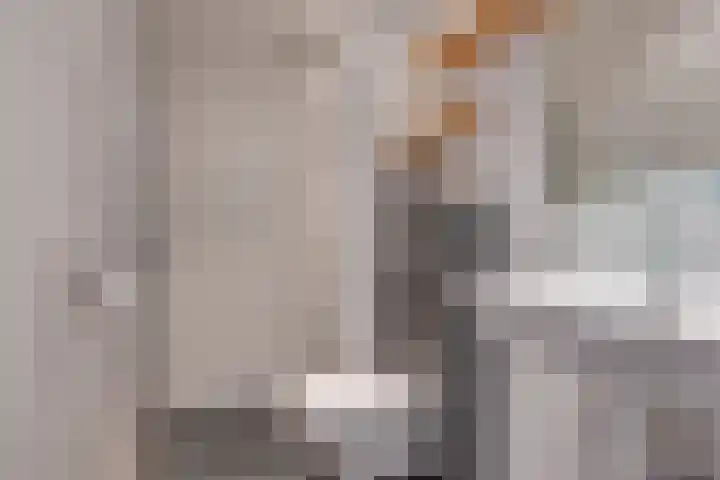 Van Ostadelaan 416 Alkmaar thumbnail 20