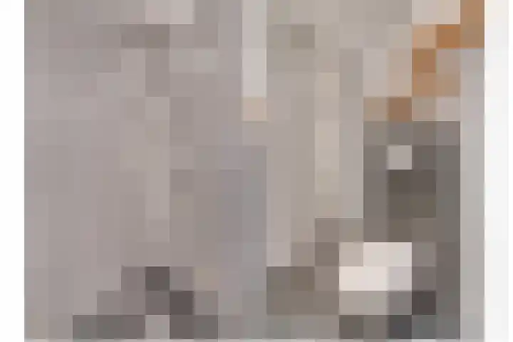 Van Ostadelaan 416 Alkmaar thumbnail 22