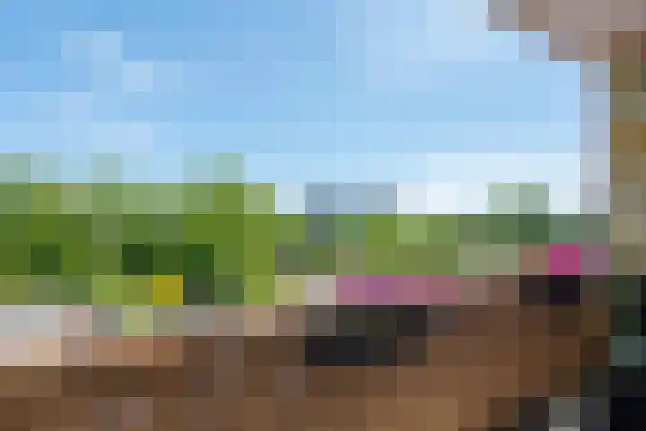 Van Ostadelaan 416 Alkmaar thumbnail 23
