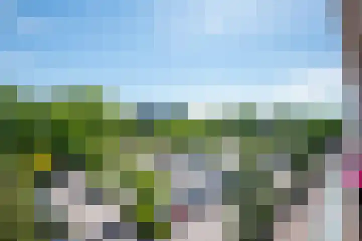 Van Ostadelaan 416 Alkmaar thumbnail 26