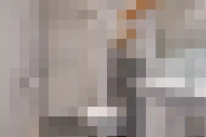 Van Ostadelaan 416 Alkmaar thumbnail 5