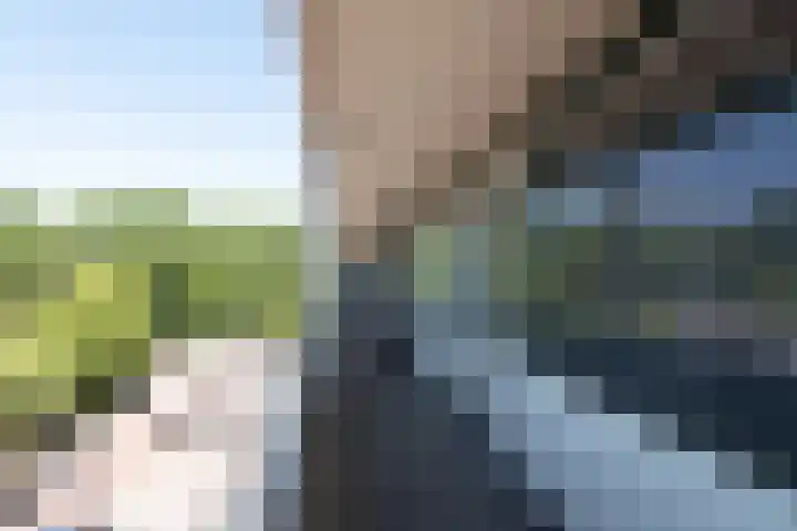 Van Ostadelaan 416 Alkmaar thumbnail 8