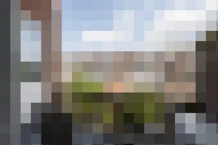 Van Ostadelaan 42 A Schiedam thumbnail 11