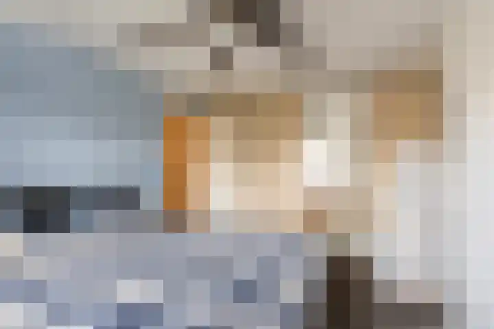 Van Ostadelaan 42 A Schiedam thumbnail 25