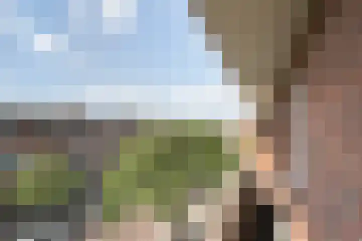 Van Ostadelaan 42 A Schiedam thumbnail 26