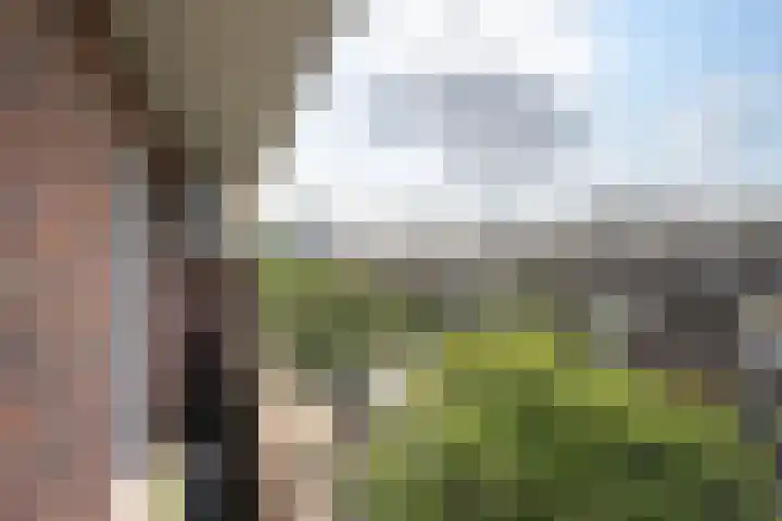 Van Ostadelaan 42 A Schiedam thumbnail 27