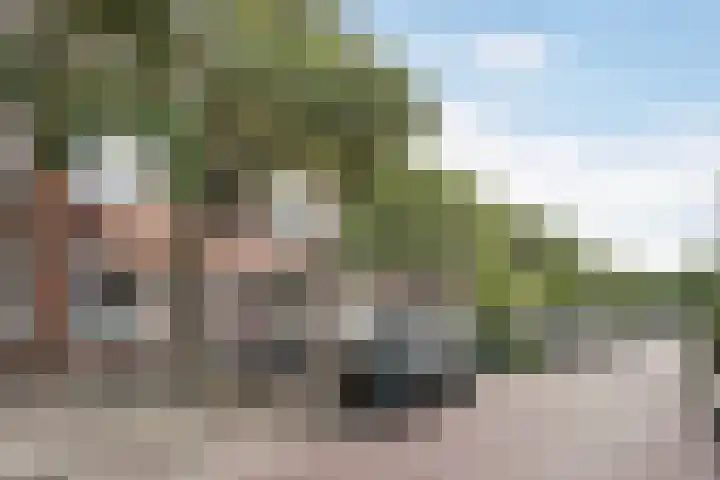 Van Ostadelaan 42 A Schiedam thumbnail 5