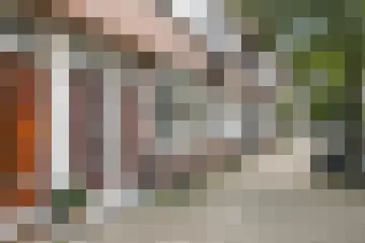 Van Ostadelaan 42 A Schiedam thumbnail 6