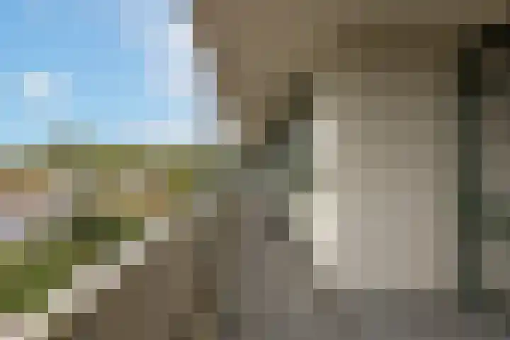 Van Ostadelaan 446 Alkmaar thumbnail 29