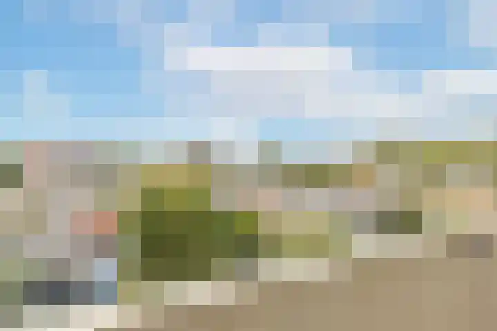 Van Ostadelaan 446 Alkmaar thumbnail 30