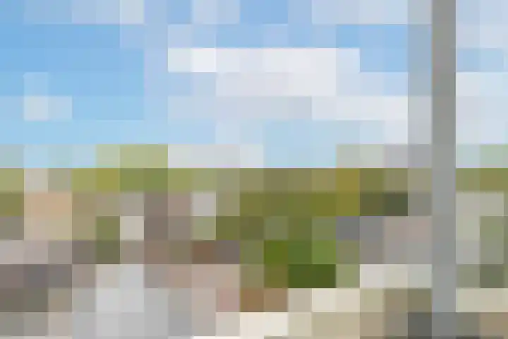 Van Ostadelaan 446 Alkmaar thumbnail 31