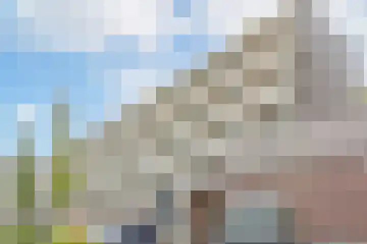 Van Ostadelaan 446 Alkmaar thumbnail 32
