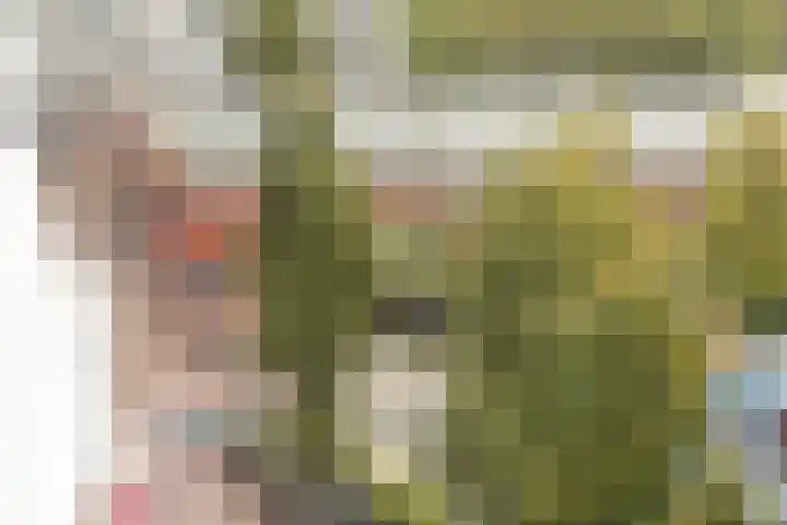 Van Ostadelaan 446 Alkmaar thumbnail 35