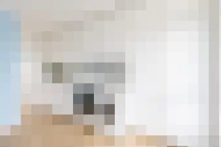 Van Ostadelaan 446 Alkmaar thumbnail 8