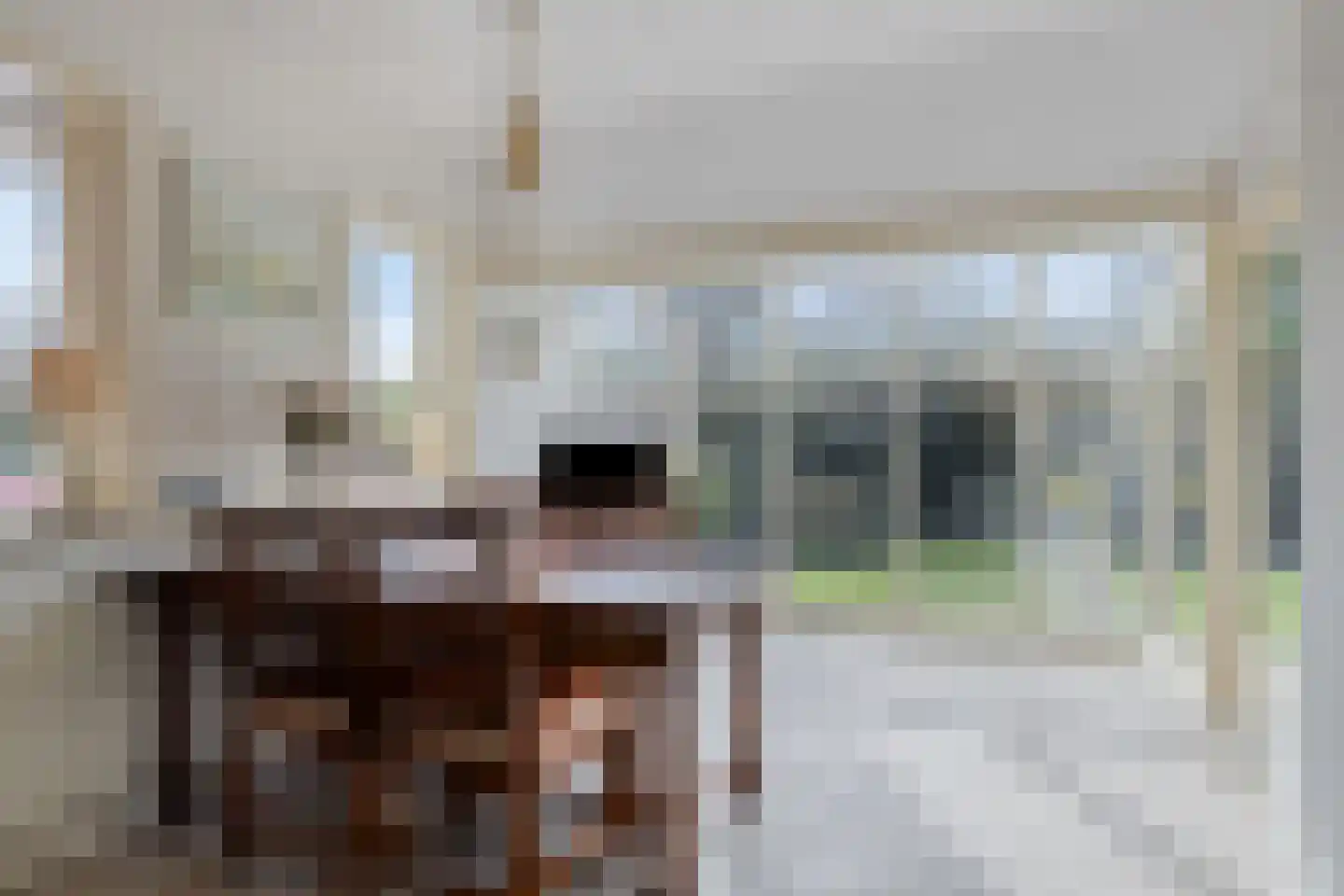 van Ostadelaan 46 Heerhugowaard thumbnail 23